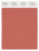 Pantone Smart 17-1540 TCX Swatch Card | Apricot Brandy