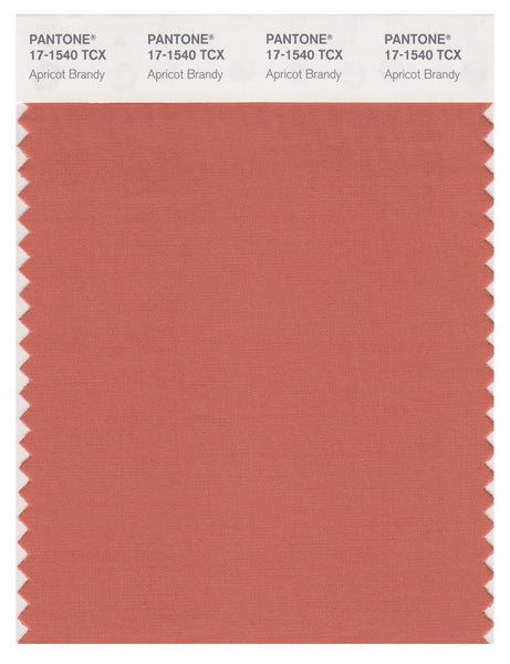 Pantone Smart 17-1540 TCX Swatch Card | Apricot Brandy | Magazine