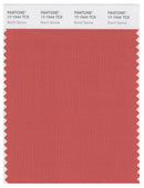Pantone Smart 17-1544 TCX Color Swatch Card | Burnt Sienna