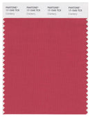 Pantone Smart 17-1545 TCX Color Swatch Card | Cranberry