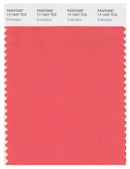 Pantone Smart 17-1547 TCX Color Swatch Card | Emberglow
