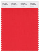 Pantone Smart 17-1558 TCX Color Swatch Card | Grenadine