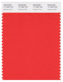 Pantone Smart 17-1562 TCX Color Swatch Card | Mandarin Red