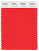 Pantone Smart 17-1563 TCX Color Swatch Card | Cherry Tomato
