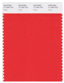 Pantone Smart 17-1564 TCX Color Swatch Card | Fiesta