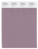 Pantone Smart 17-1605 TCX Color Swatch Card | Elderberry