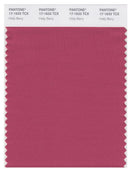 Pantone Smart 17-1633 TCX Color Swatch Card | Holly Berry | Magazine ...