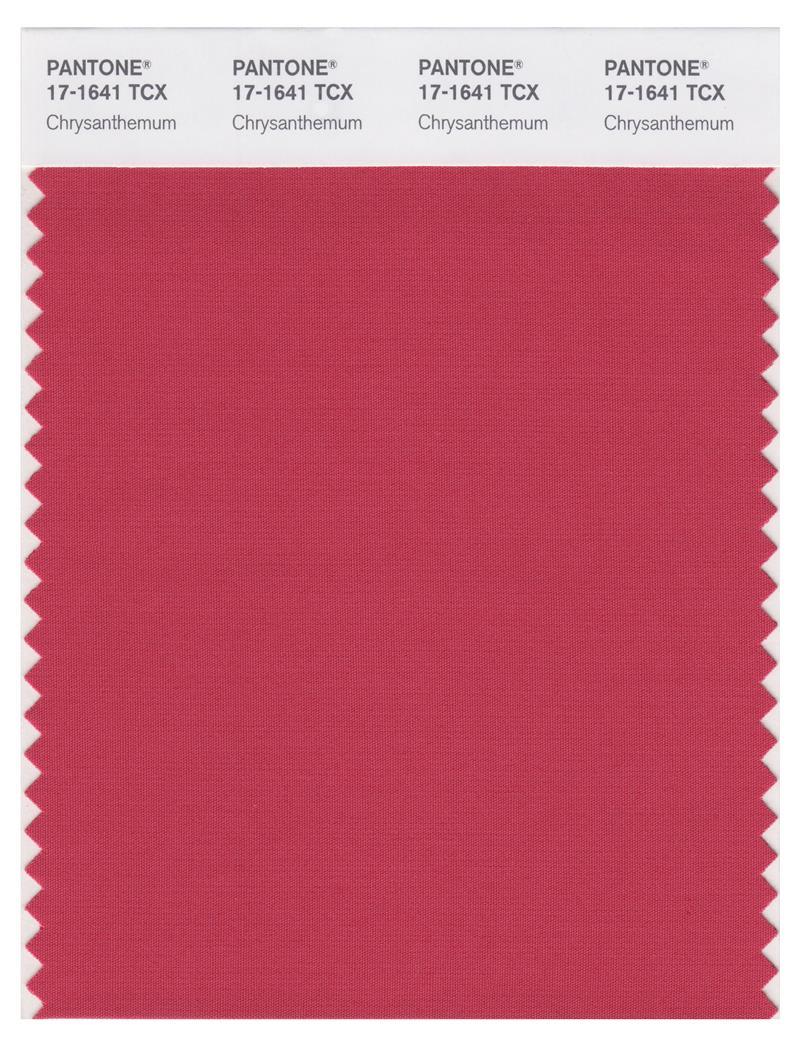 First Bloom Color Pantone Smart 17-1641 TCX Color Swatch Card | Chrysanthemum | Magazine ...