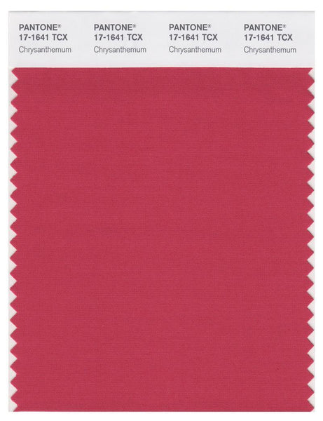 17-1641_chrysanthemum_1_grande