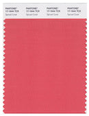 Pantone Smart 17-1644 TCX Color Swatch Card | Spiced Coral