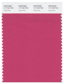 Pantone Smart 17-1740 TCX Color Swatch Card | Claret Red