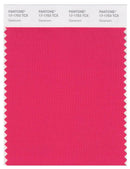 Pantone Smart 17-1753 TCX Color Swatch Card | Geranium
