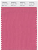 Pantone Smart 17-1927 TCX Color Swatch Card | Desert Rose