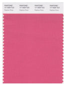Pantone Smart 17-1929 TCX Color Swatch Card | Rapture Rose