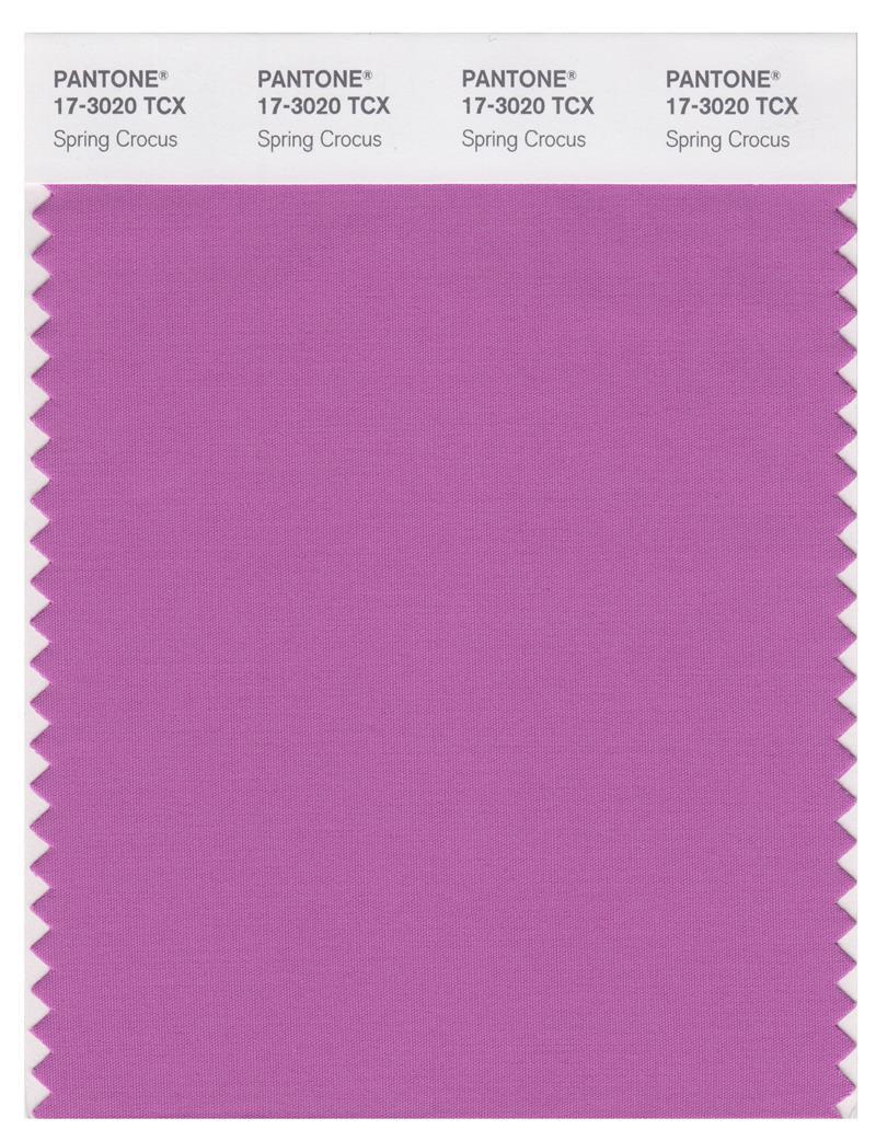 Pantone Smart 17-3020 TCX Color Swatch Card | Spring Crocus