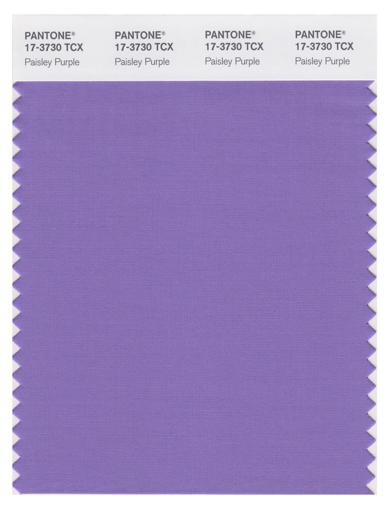 17-3730_paisleypurple_1.jpg?v=