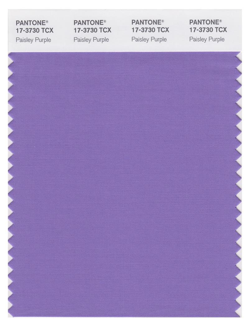 Pantone Smart 17-3730 TCX Color Swatch Card | Paisley Purple