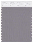 Pantone Smart 17-3802 TCX Color Swatch Card | Gull