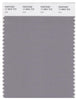 Pantone Smart 17-3802 TCX Color Swatch Card | Gull