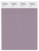 Pantone Smart 17-3808 TCX Color Swatch Card | Nirvana