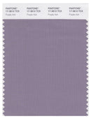 Pantone Smart 17-3810 TCX Color Swatch Card | Purple Ash