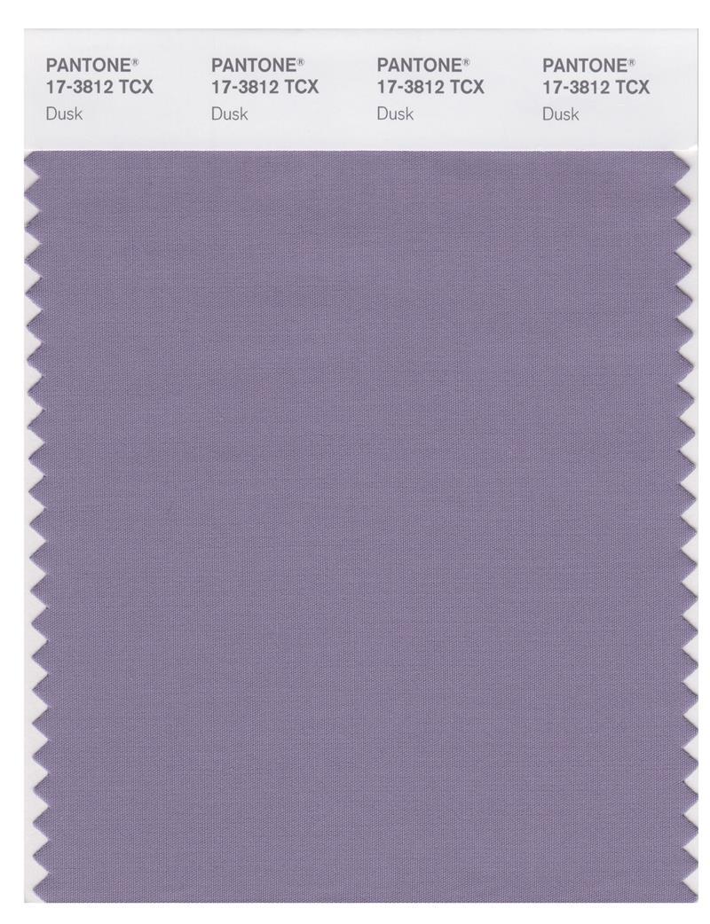 Pantone Smart 17-3812 TCX Color Swatch Card | Dusk | Magazine Cafe