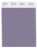 Pantone Smart 17-3812 TCX Color Swatch Card | Dusk