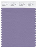 Pantone Smart 17-3817 TCX Color Swatch Card | Daybreak