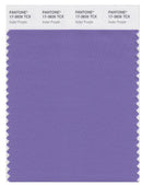 Pantone Smart 17-3826 TCX Color Swatch Card | Aster Purple