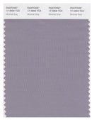 Pantone Smart 17-3906 TCX Color Swatch Card | Minimal Gray