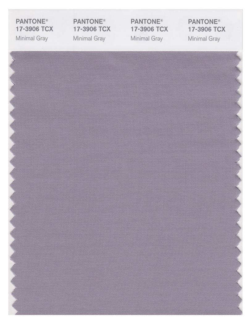 Pantone Smart 17-3906 TCX Color Swatch Card | Minimal Gray