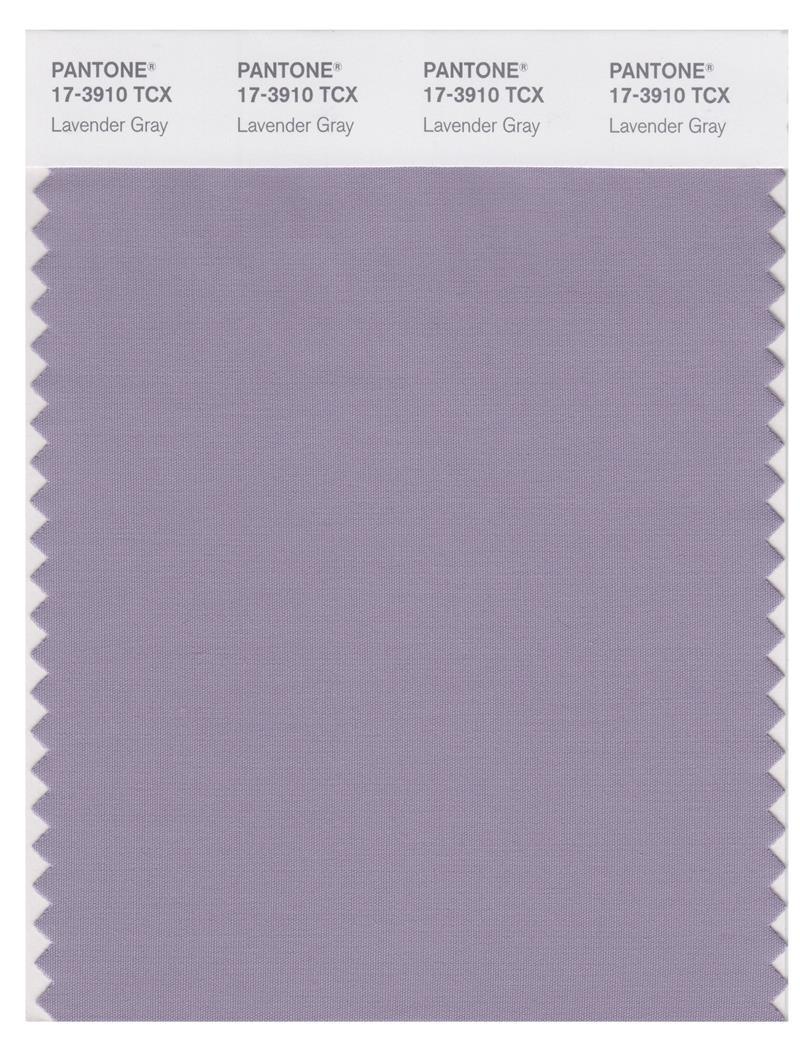 Pantone Smart 17-3910 TCX Color Swatch Card | Lavender Gray