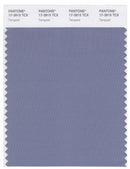 Pantone Smart 17-3915 TCX Color Swatch Card | Tempest