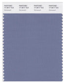 Pantone Smart 17-3917 TCX Color Swatch Card | Stonewash