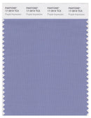 Pantone Smart 17-3919 TCX Color Swatch Card | Purple Impression