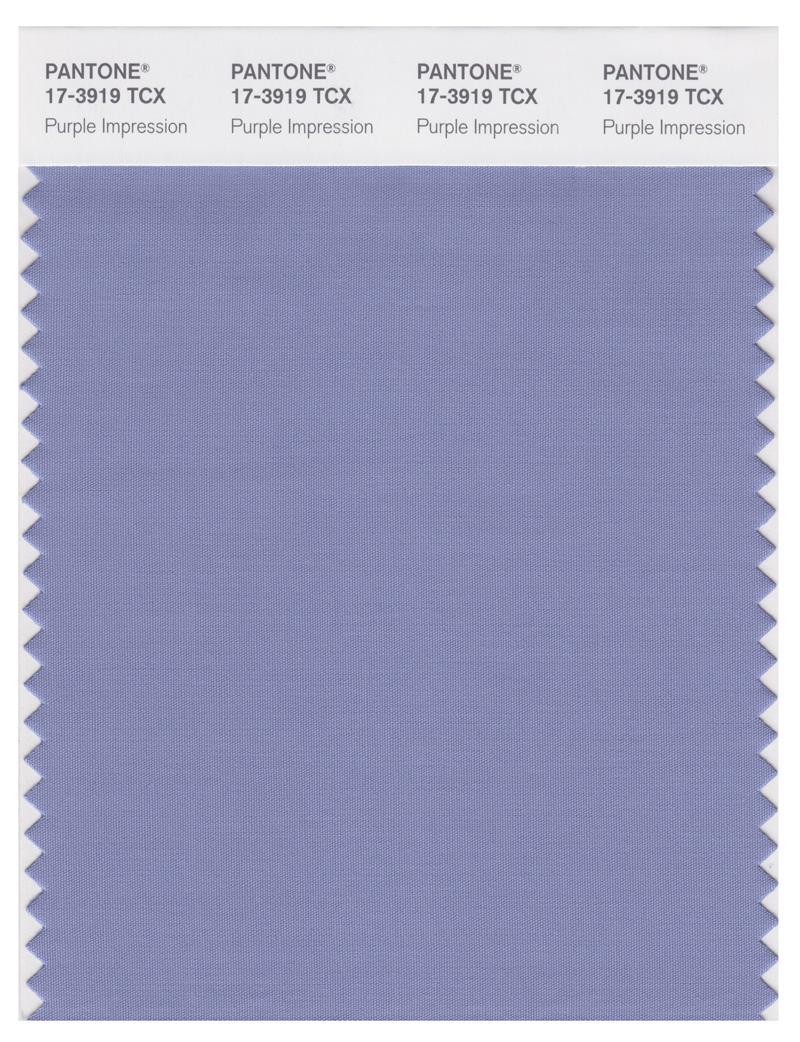 Pantone Smart 17-3919 TCX Color Swatch Card | Purple Impression