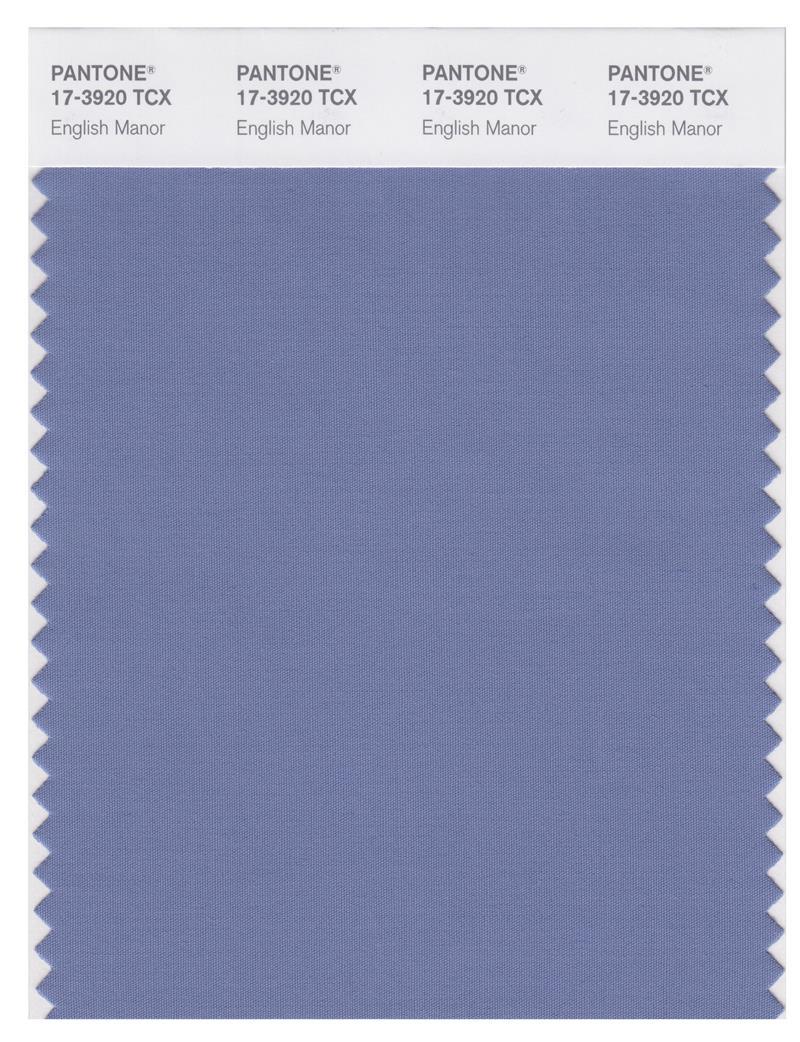 Pantone Smart 17-3920 TCX Color Swatch Card | English Manor