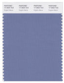 Pantone Smart 17-3920 TCX Color Swatch Card | English Manor