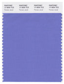 Pantone Smart 17-3934 TCX Color Swatch Card | Persian Jewel