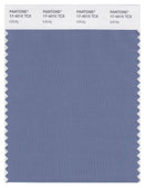 Pantone Smart 17-4015 TCX Color Swatch Card | Infinity