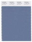 Pantone Smart 17-4020 TCX Color Swatch Card | Blue Shadow