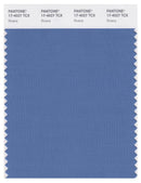 Pantone Smart 17-4027 TCX Color Swatch Card | Riviera