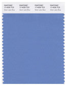 Pantone Smart 17-4030 TCX Color Swatch Card | Silver Lake BLue