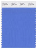 Pantone Smart 17-4041 TCX Color Swatch Card | Marina