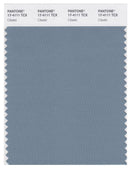 Pantone Smart 17-4111 TCX Color Swatch Card | Citadel