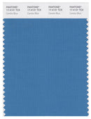 Pantone Smart 17-4131 TCX Color Swatch Card | Cendre Blue