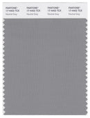Pantone Smart 17-4402 TCX Color Swatch Card | Neutral Gray