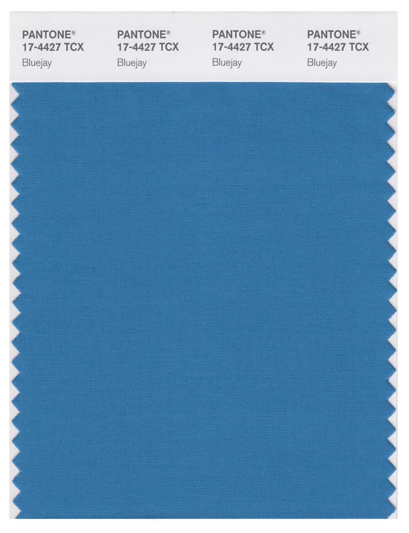 Pantone Smart 17-4427 TCX Color Swatch Card | Bluejay