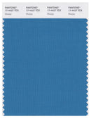 Pantone Smart 17-4427 TCX Color Swatch Card | Bluejay