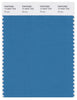 Pantone Smart 17-4427 TCX Color Swatch Card | Bluejay